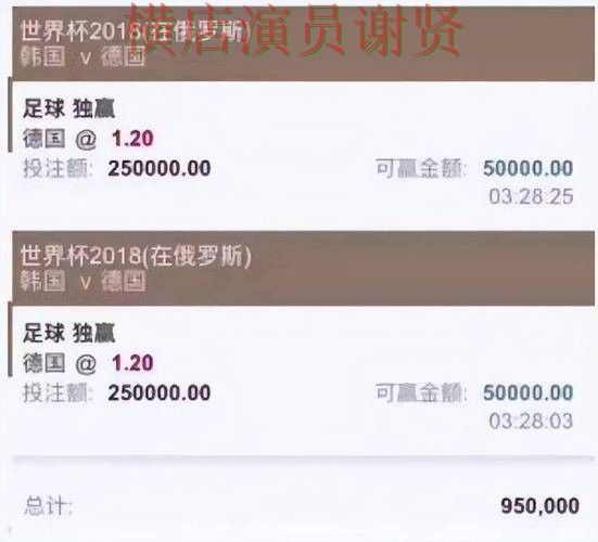 汇总世界杯投注平台合集：从平台排行到使用全流程解析 - 世界杯官方信息